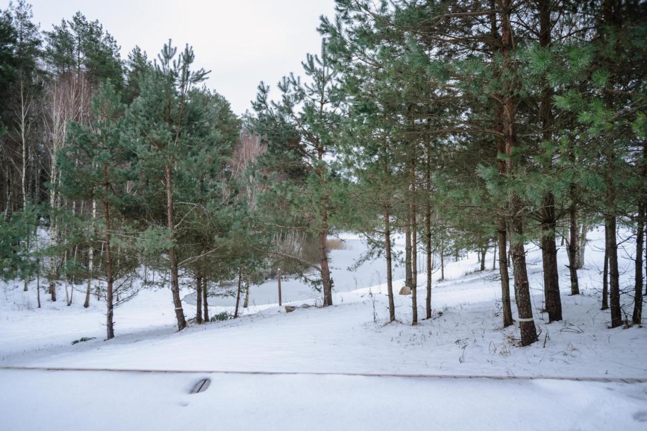 Ausrines Villa Liskiava Екстериор снимка